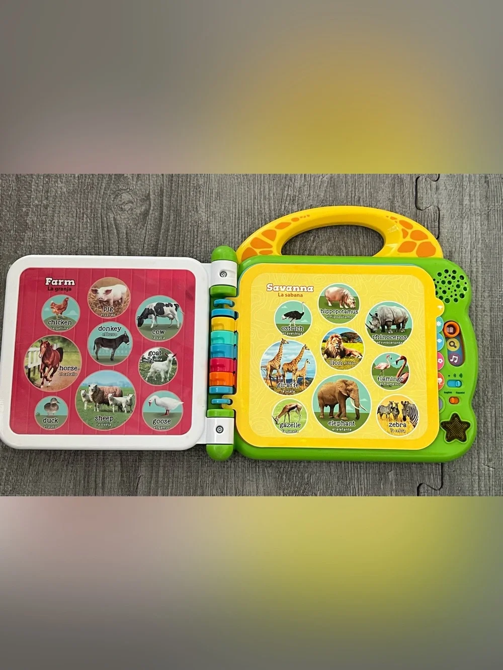 N/A leapfrog 100